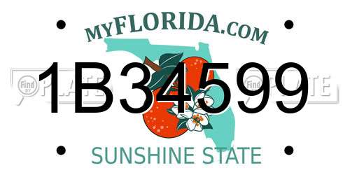 1B34599 Florida License Plate