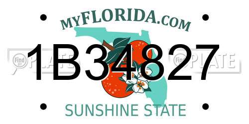 1B34827 Florida License Plate