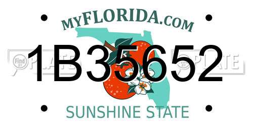 1B35652 Florida License Plate