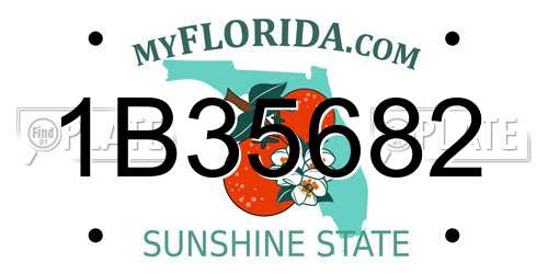1B35682 Florida License Plate