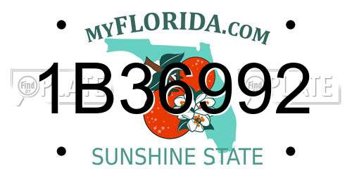 1B36992 Florida License Plate