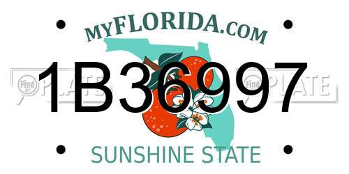 1B36997 Florida License Plate