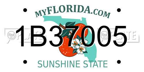 1B37005 Florida License Plate