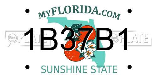 1B37B1 Florida License Plate