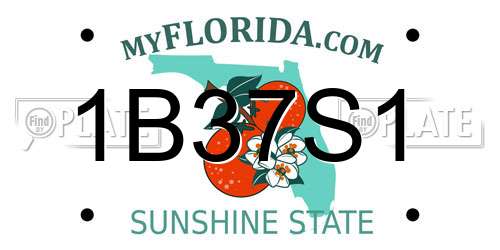 1B37S1 Florida License Plate