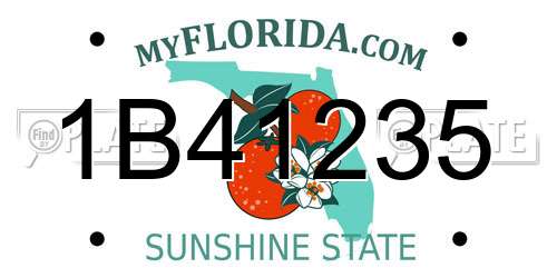 1B41235 Florida License Plate