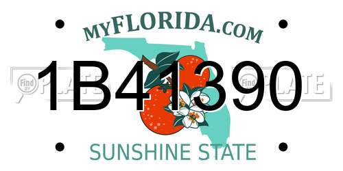 1B41390 Florida License Plate