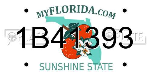1B41393 Florida License Plate