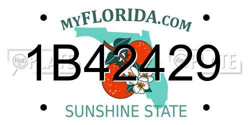 1B42429 Florida License Plate