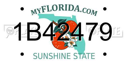 1B42479 Florida License Plate