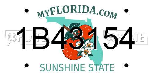 1B43154 Florida License Plate