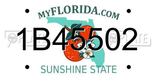 1B45502 Florida License Plate