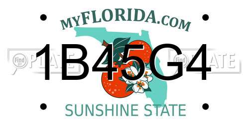1B45G4 Florida License Plate