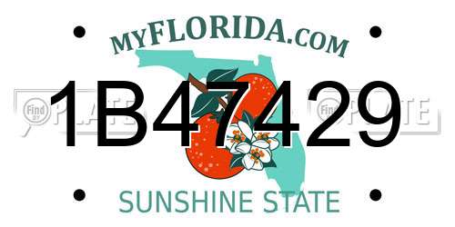 1B47429 Florida License Plate