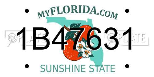 1B47631 Florida License Plate