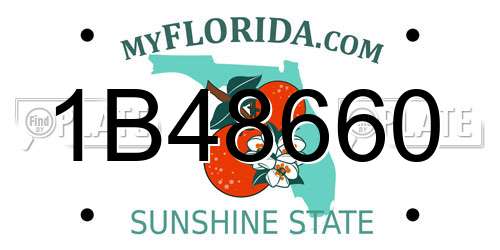 1B48660 Florida License Plate