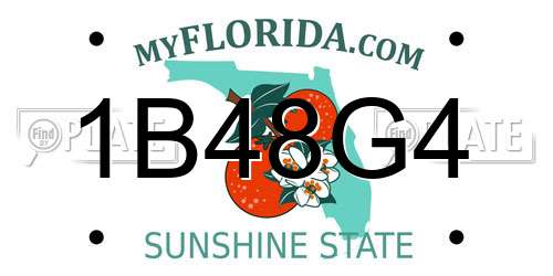 1B48G4 Florida License Plate