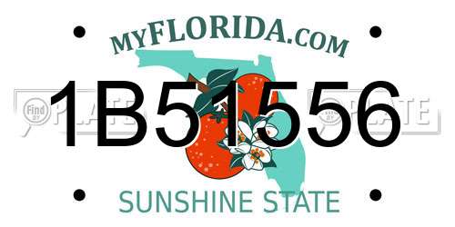 1B51556 Florida License Plate