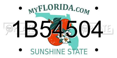 1B54504 Florida License Plate