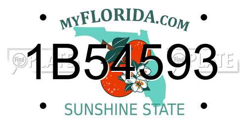 1B54593 Florida License Plate