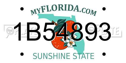 1B54893 Florida License Plate