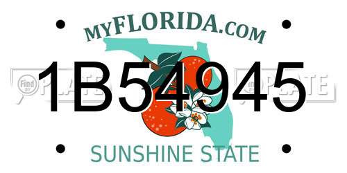 1B54945 Florida License Plate