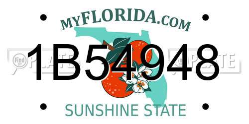 1B54948 Florida License Plate
