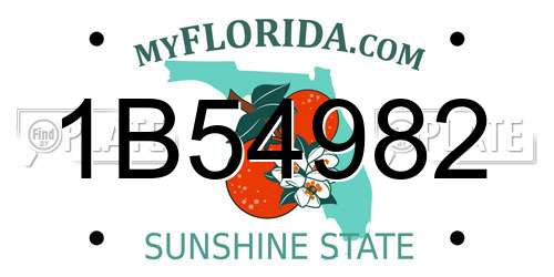 1B54982 Florida License Plate