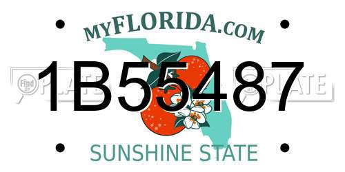 1B55487 Florida License Plate