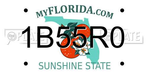 1B55R0 Florida License Plate