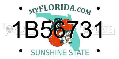 1B56731 Florida License Plate