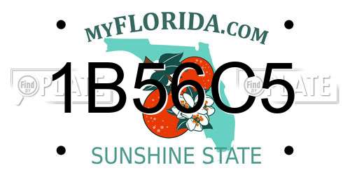 1B56C5 Florida License Plate