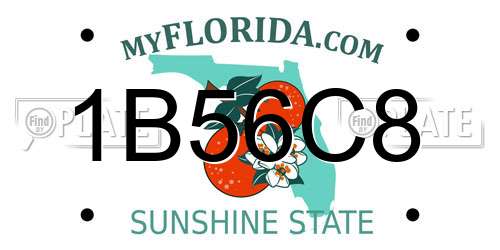 1B56C8 Florida License Plate