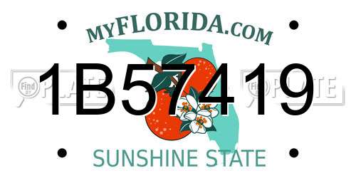 1B57419 Florida License Plate