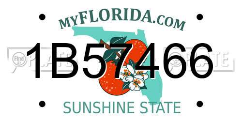 1B57466 Florida License Plate