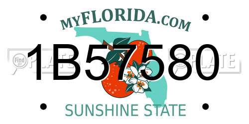1B57580 Florida License Plate