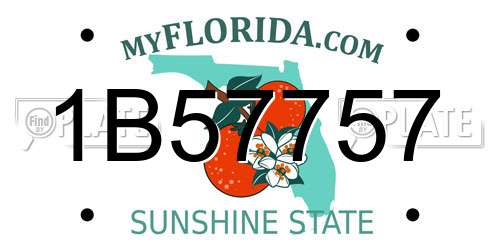 1B57757 Florida License Plate