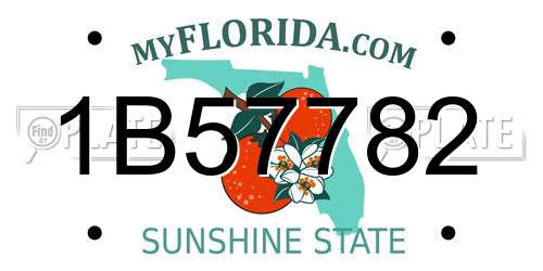 1B57782 Florida License Plate