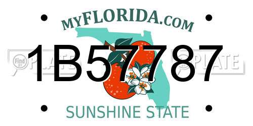 1B57787 Florida License Plate