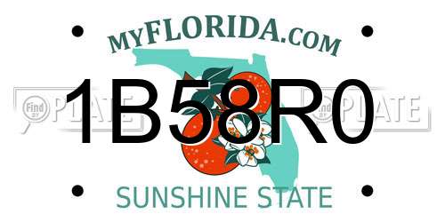1B58R0 Florida License Plate