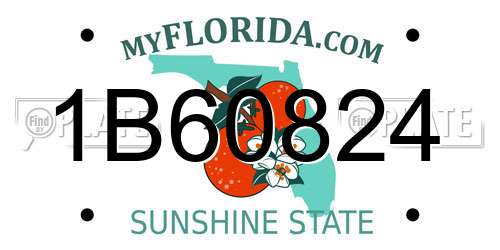 1B60824 Florida License Plate