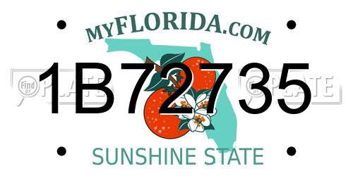1B72735 Florida License Plate