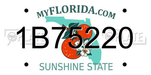 1B75220 Florida License Plate