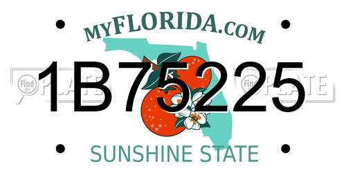 1B75225 Florida License Plate