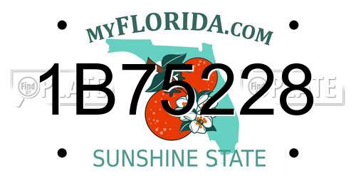 1B75228 Florida License Plate