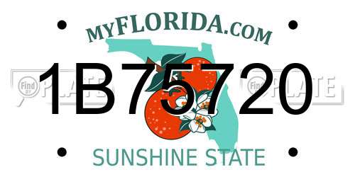 1B75720 Florida License Plate