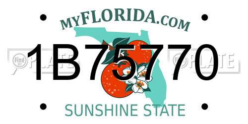 1B75770 Florida License Plate
