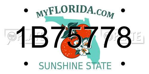 1B75778 Florida License Plate