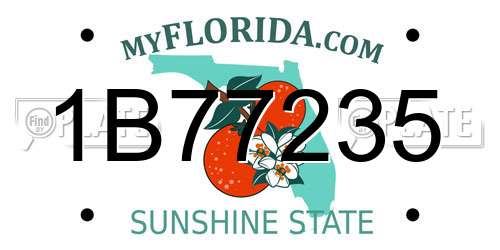 1B77235 Florida License Plate