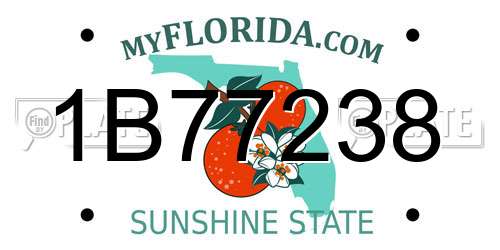 1B77238 Florida License Plate